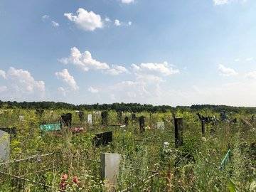 Жители Башкирии взбунтовались против нового кладбища