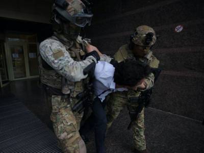 В МВД рассказали, как поступят с «киевским террористом»