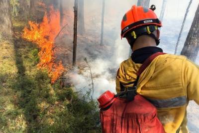 Число пожаров в Югре за сутки сократилось до 9