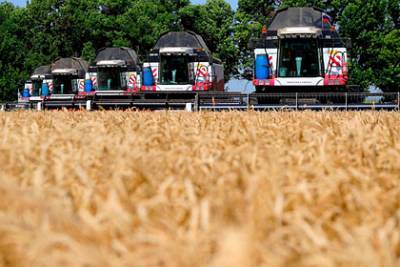 Ростовская область стала лидером страны по уборке ранних зерновых