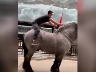 Гигантский конь попал на видео и покорил Сеть