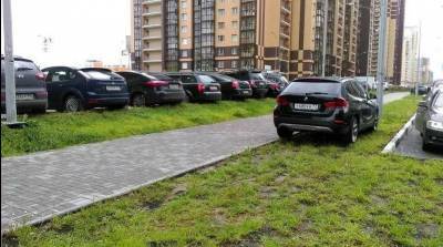 Максимальный штраф за парковку на газонах в Петербурге увеличат до 500 тысяч рублей
