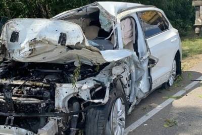 В Краснодарском крае 57-летний водитель погиб, врезавшись в дерево
