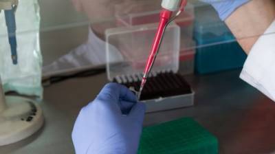 В регионе вновь выявили больше пяти десятков заразившихся коронавирусом