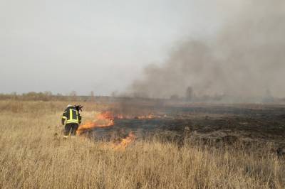 Пожарные в Киеве за сутки ликвидировали два крупных возгорания травы и камыша