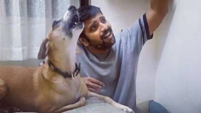 «Золотой голос»: Видео с поющей собакой покорило соцсети
