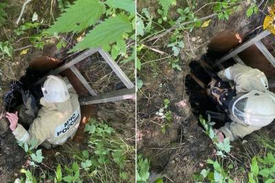 В Тверской области спасатель достал из колодца собаку