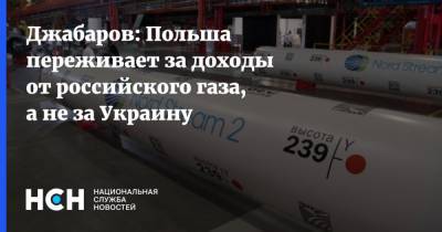 Джабаров: Польша переживает за доходы от российского газа, а не за Украину