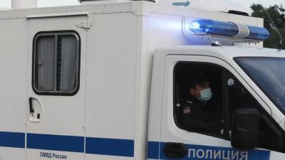 Суд Москвы арестовал напавшего на полицейского нетрезвого мужчину