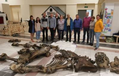 В Сибири найден скелет 20-летнего мамонта