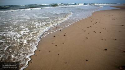 Пропавших в Тихом океане туристов нашли по сигналу SOS на песке