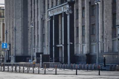 В Госдуме оценили слова польского премьера о минусах России