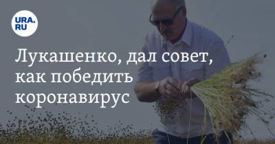 Лукашенко, дал совет, как победить коронавирус