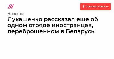 «Поступила информация еще об одном отряде». Лукашенко — о задержании 33 россиян под Минском