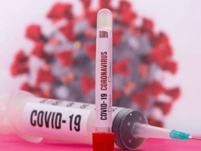 Японские ученые научились определять тяжесть заболевания при коронавирусе