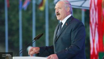 Лукашенко о политических оппонентах: "Дайте спасти страну"