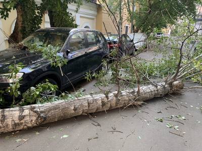 Депутат МГД Козлов: урон автомобилю от стихийного бедствия можно компенсировать