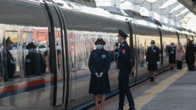 Перевозки поездами "Сапсан" в июле сократились почти на треть