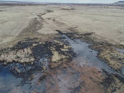 На Ямале начали проверку после разлива нефти близ танкеров «Лукойла»