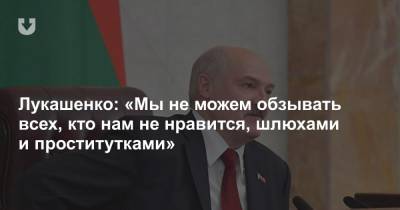 Лукашенко: «Мы не можем обзывать всех, кто нам не нравится, шлюхами и проститутками»