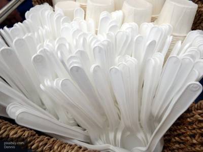 Свенья Шульц - Константин Салаев - Германия решила остановить реализацию пластиковой посуды в 2021 году - nation-news.ru - Германия