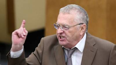 Ефремов должен признать свою вину и понести наказание – Жириновский