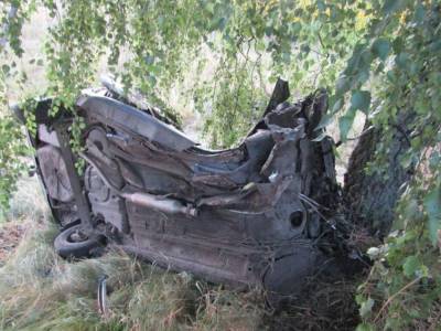 Смертельное ДТП под Черниговом: авто разорвало на две части после столкновения с деревом