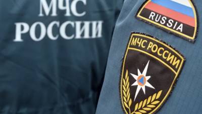 Умер второй пилот рухнувшего в Подмосковье мотодельтаплана - russian.rt.com - Московская обл. - район Можайский