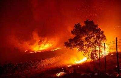 Более 10 тысяч гектаров леса горят в Калифорнии