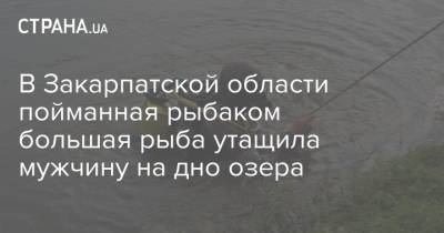 В Закарпатской области пойманная рыбаком большая рыба утащила мужчину на дно озера