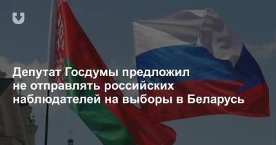 Депутат Госдумы предложил не отправлять российских наблюдателей на выборы в Беларусь