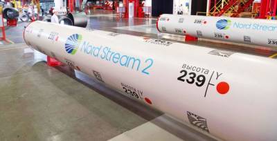 Еще не вышла из «подросткового возраста – эксперт оценил попытки Польши блокировать Nord Stream-2