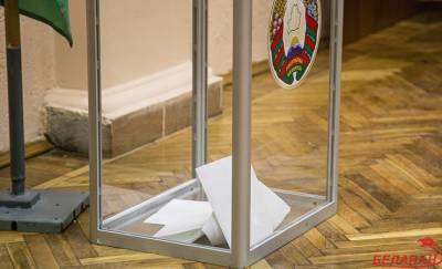 В Гомеле независимых наблюдателей повсеместно не допустили на участки для голосования