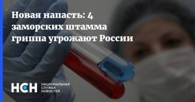 Новая напасть: 4 заморских штамма гриппа угрожают России