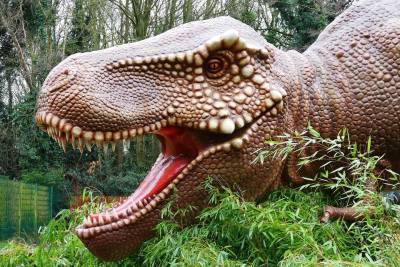 Ученые: Млекопитающие юрского периода ели останки динозавров