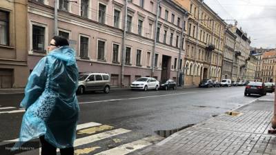 МЧС предупредило петербуржцев о сильном дожде в ночь на 5 августа