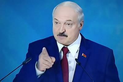 В Госдуме Лукашенко уличили в попытке скопировать Путина