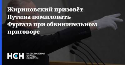 Жириновский призовёт Путина помиловать Фургала при обвинительном приговоре