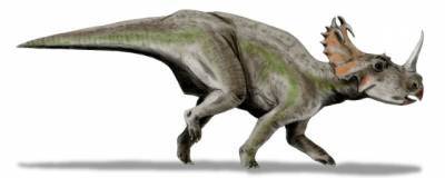 Ученые впервые обнаружили раковую опухоль на останках динозавра