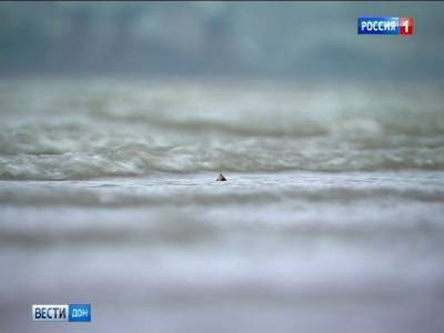В центре Ростова у Ворошиловского моста едва не утонул человек