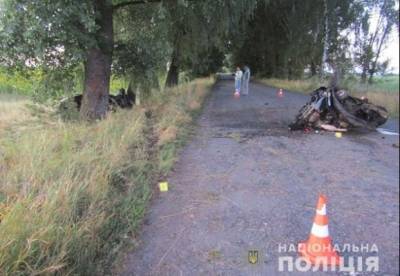 В смертельном ДТП на Черниговщине машину разорвало пополам (фото)