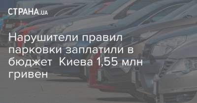 Нарушители правил парковки заплатили в бюджет Киева 1,55 млн гривен