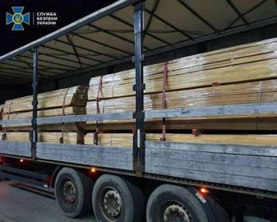 СБУ пресекла попытку вывоза из Украины ценных пород древесины