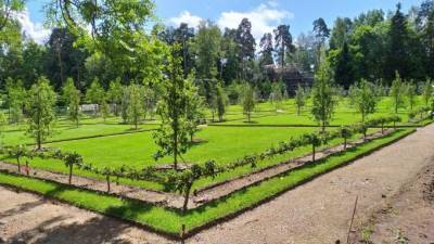 В парке "Монрепо" завершилось обустройство топиарного сада