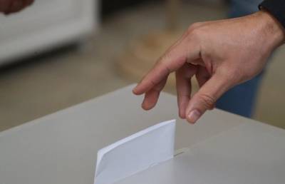 «Работа избирательной комиссии была четко организована, а люди приходили голосовать целыми семьями». Наблюдатели поделились впечатлениями от первого дня досрочного голосования на выборах Президента Беларуси