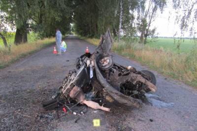 Разорвало пополам : в Черниговской области легковушка вылетела за пределы дороги и врезалась в дерево