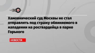 Хамовнический суд Москвы не стал отправлять под стражу обвиняемого в нападении на росгвардейца в парке Горького