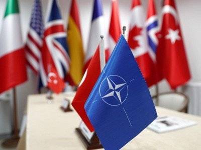 NYT: Турция стала «слоном в посудной лавке» для НАТО