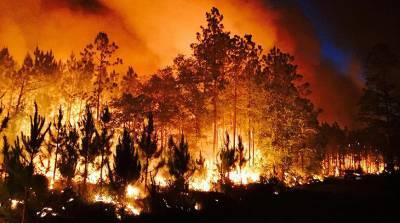 На западе Канады лесные пожары стали причиной эвакуации людей