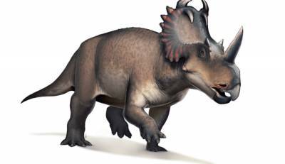 Ученые выявили раковую опухоль у динозавра, жившего 76 млн лет назад